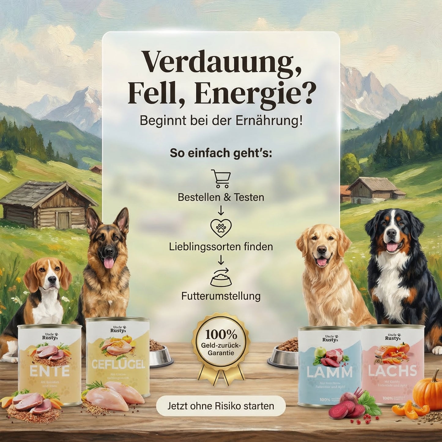 Probierpaket | Kostenloser Versand