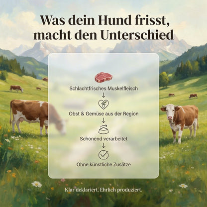 Probierpaket | Kostenloser Versand