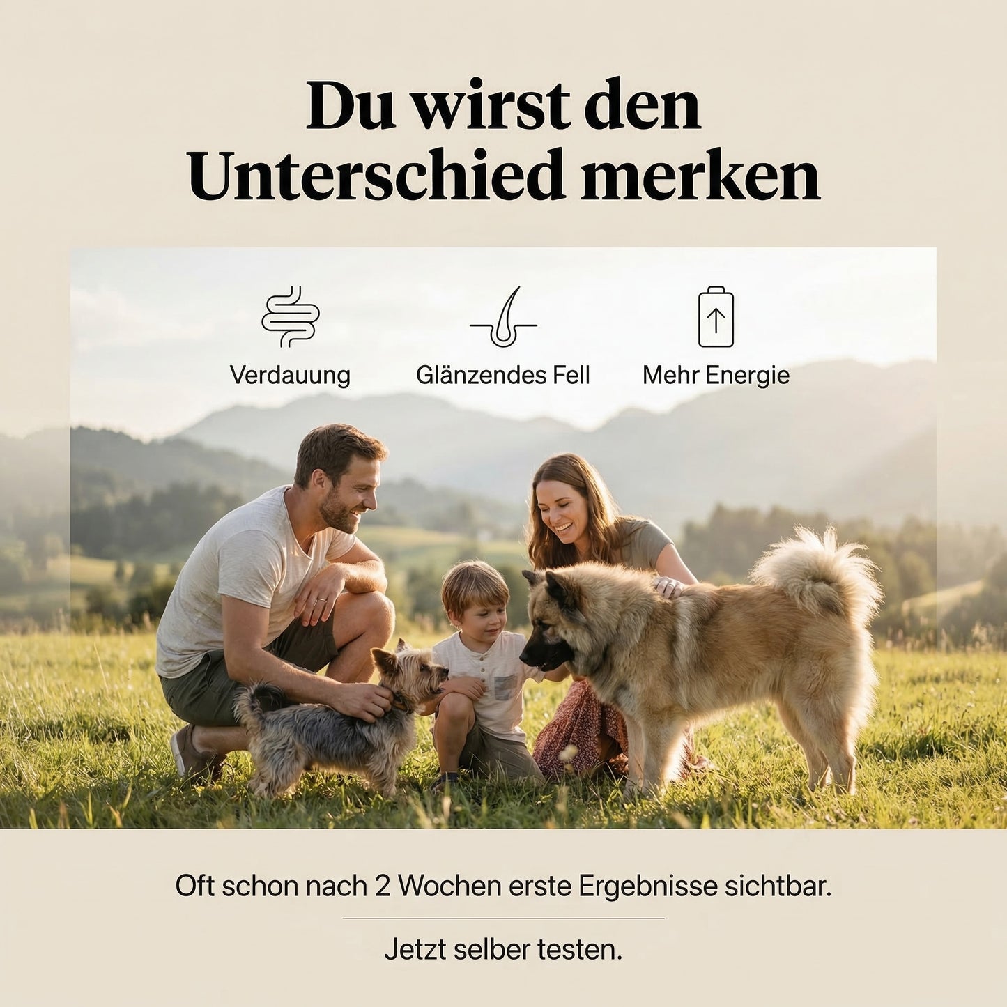 Probierpaket | Kostenloser Versand